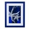 Blue Starfish Framed Coastal Plaque Sign Wall Hanging Decor Decoration For The Beach 12.5 x 0.5 x 9.75 Inches.